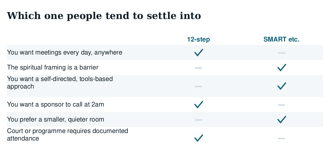 Table matching preferences to 12-step or SMART Recovery: daily availability, spiritual framing, self-directed tools