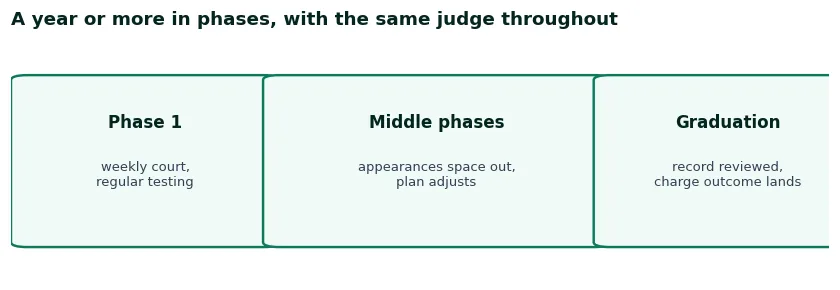 Phase diagram of a drug court year: early phases with weekly court and regular testing, later phases spacing out, graduation with the record reviewed