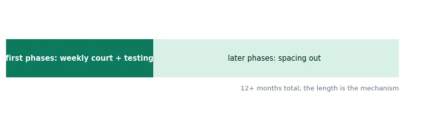 Bar of a drug court year: the first months with weekly court and regular testing against the later phases with appearances spacing out