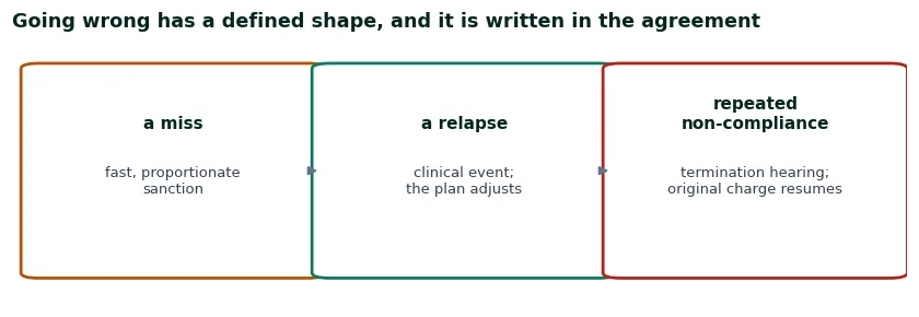 Three-step sequence of going wrong inside drug court: a miss draws a fast proportionate sanction, a relapse adjusts the treatment plan, and only repeated non-compliance ends in a termination hearing