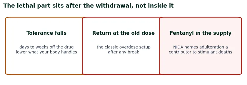 Three cards on the lethal risks that sit next to cocaine withdrawal rather than inside it: falling tolerance, return to use at the old dose, and fentanyl in the cocaine supply