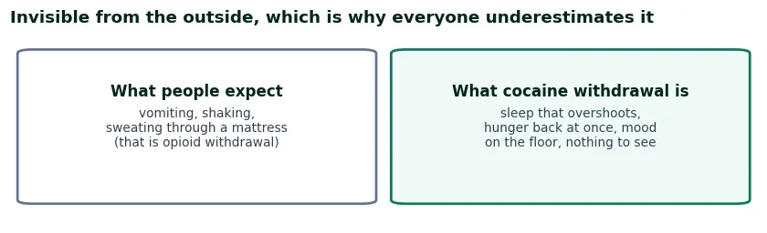 Two cards contrasting what people expect withdrawal to look like, vomiting and shaking, with what cocaine withdrawal actually is: overshooting sleep, returning hunger, a mood drop and no visible signs