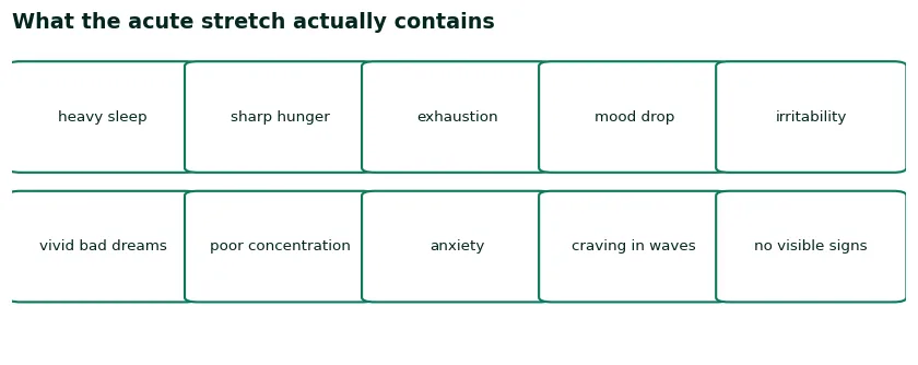 Grid of ten acute-phase features of cocaine withdrawal: heavy sleep, sharp hunger, exhaustion, mood drop, irritability, vivid bad dreams, poor concentration, anxiety, waves of craving, and no visible physical signs