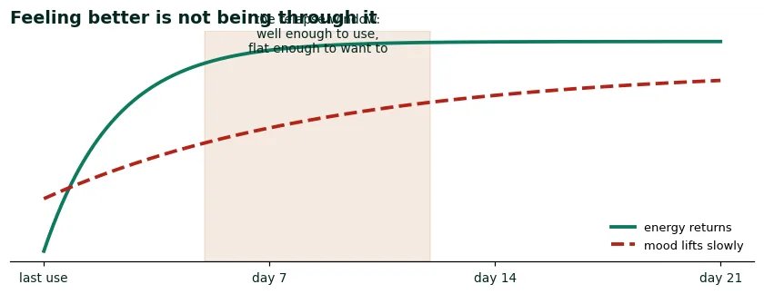 Two curves crossing in the second week: energy returns while mood and cravings still run low and high