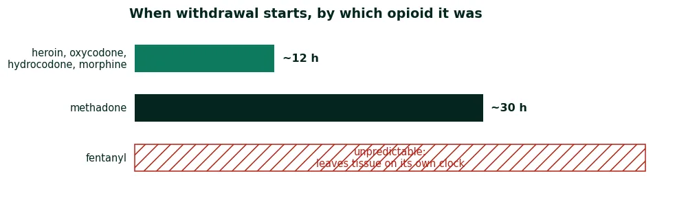 Bar chart of withdrawal onset by opioid: about 12 hours after short-acting opioids like heroin, about 30 hours after methadone