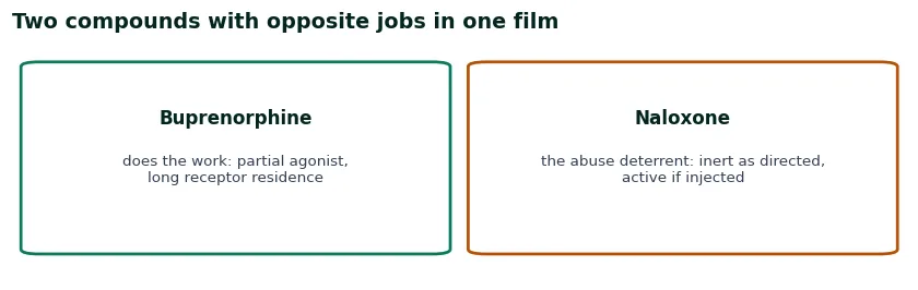 Two cards on what is in the film: buprenorphine doing the work with a long receptor residence, against naloxone as the inert-unless-injected deterrent