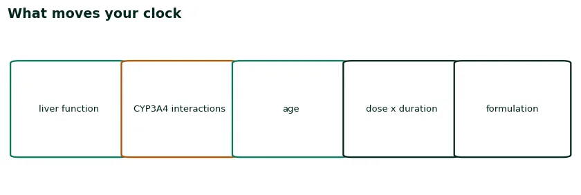Five cards of what moves the clock: liver function, CYP3A4 interactions, age, dose times duration, and formulation