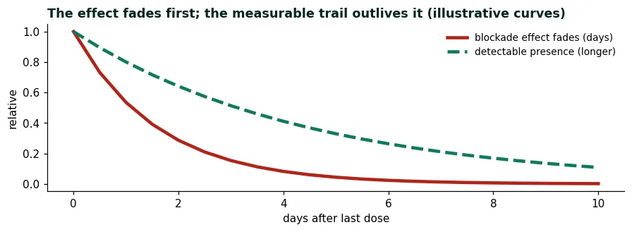 Two curves after the last dose: the blockade effect fading over days against the detectable presence lasting longer (illustrative)