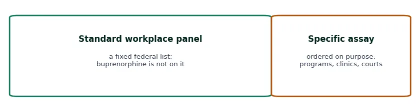 Two cards: a standard workplace panel screens a fixed federal list without buprenorphine, while a specific assay is ordered on purpose by programs, clinics and courts