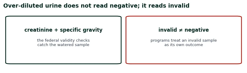Two cards on sample validity: creatinine and specific gravity catch over-dilution, and an invalid sample is its own outcome rather than a negative