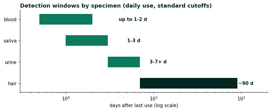 Log-scale bar chart of detection windows by specimen: blood up to 1-2 days, saliva 1-3, urine 3-7+, hair about 90 days