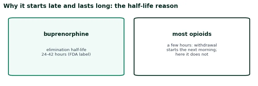 Two cards on why Suboxone withdrawal starts late: buprenorphine half-life 24 to 42 hours versus a few hours for most opioids