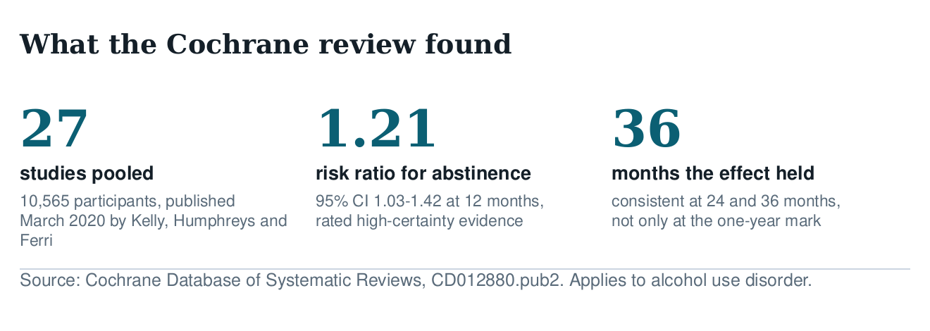 Three figures from the Cochrane review of twelve-step programmes: 27 studies pooled