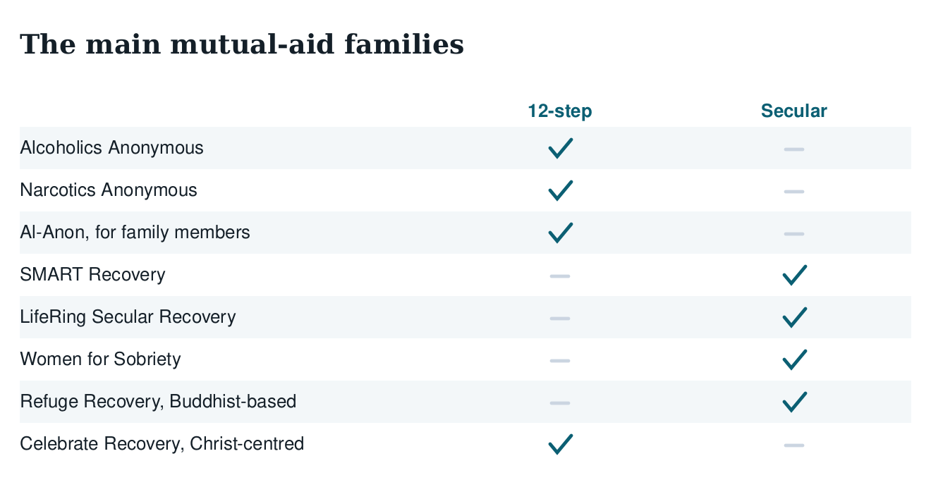 Table listing the main mutual-aid organisations split into twelve-step and secular families: AA, NA, Al-Anon